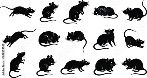 Rat silhouette vector set, black rodent animal collection, mouse running and standing icons, isolated pests on white background design.