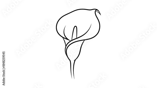 vector illustration of a bird