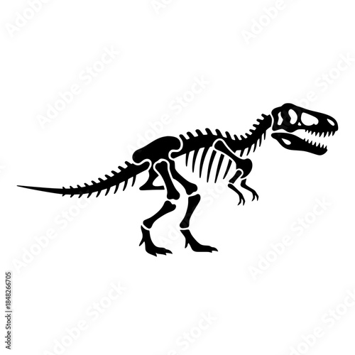 Tyrannosaurus Rex Full Skeleton Silhouette Fossil