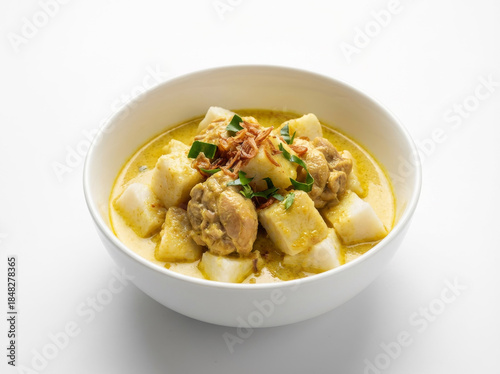 Traditional Indonesian Ketupat and Chicken Opor in Creamy Coconut Curry Sauce