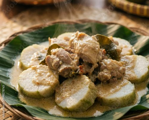 Close Up Ketupat with Creamy Opor Ayam Sauce