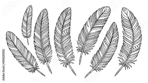Detailed monochrome feather illustrations with intricate bohemian pattern designs
