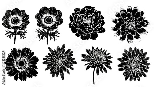 Elegant floral illustration with black and white flowers in a stylish graphic design