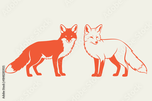 Two foxes standing face to face in a serene illustration