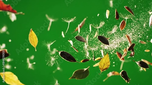 Floating Blooms in Airy Space with slow, wide bokeh sweep from effect ad_ready green screen floating bokeh style featuring nature,