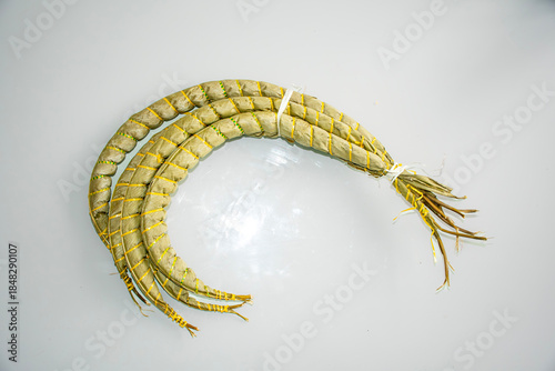 three cassava sticks from Cameroon arranged in an arc on a white background