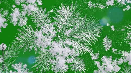 Shifting Emerald Ice Crystals with abstract ice patterns shifting on effect green screen ice crystals style featuring ice crystals,