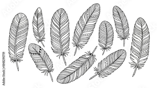 Hand-drawn intricate feathers in black and white, perfect for boho designs or coloring pages