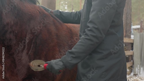 horse grooming process, steps involved in horse grooming before riding, methods to get horses ready for equestrian activities, procedures and routines for preparing horses for comfortable ride