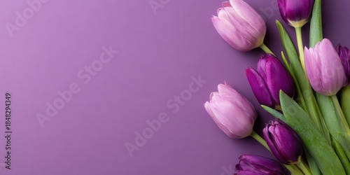 Vibrant photo of Vibrant purple and pink tulips bouquet on a solid purple background, top view with copy space