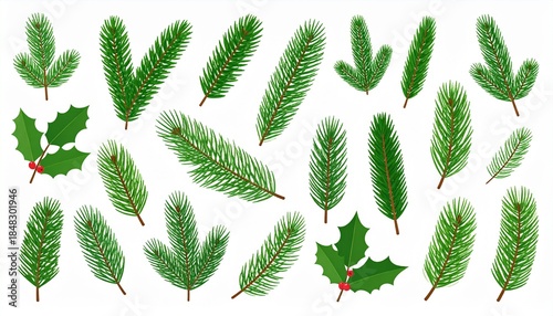 Set of christmas branches isolated on white