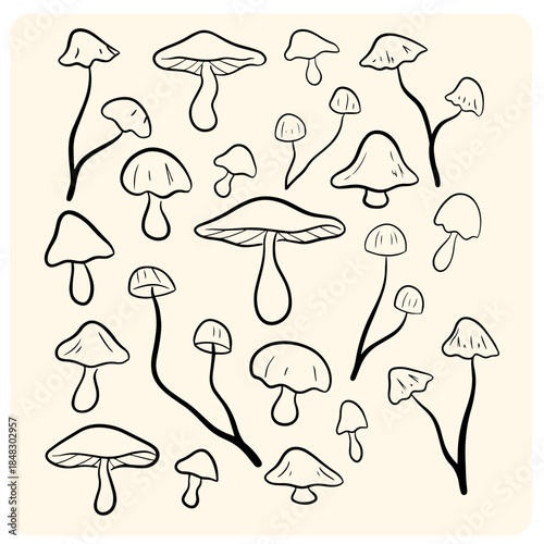 Various Hand-Drawn Wild Mushroom Doodles and Sketches