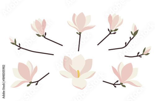 和洋折衷な木蓮の枝と花のフラットデザインイラストエレメント