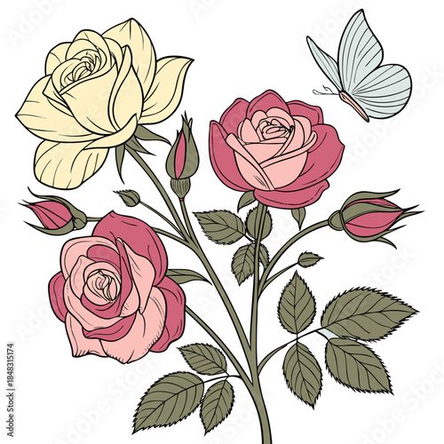 Bouquet of various roses in vibrant colors with butterfly flowers