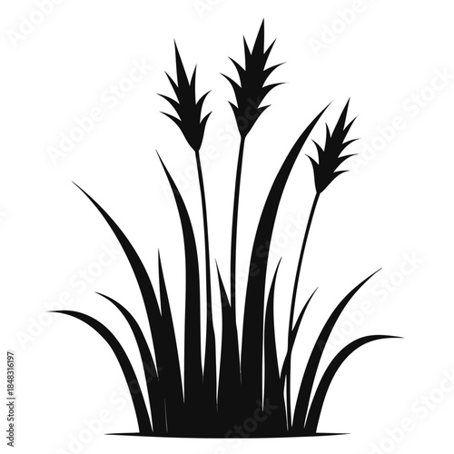 Sparse tall grass silhouette with thin spiky blades black silhouette