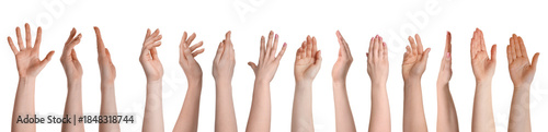 Female hands isolated on white, collection of photos