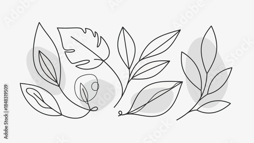 Continuous line art drawing of various botanical leaves with abstract grey shapes, showcasing minimalist natural design elements.