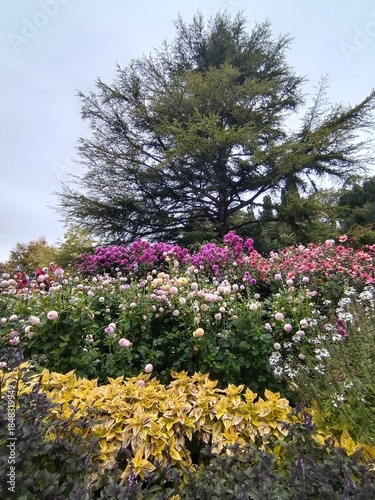 Wallpaper Mural pink and yellow flowers Torontodigital.ca