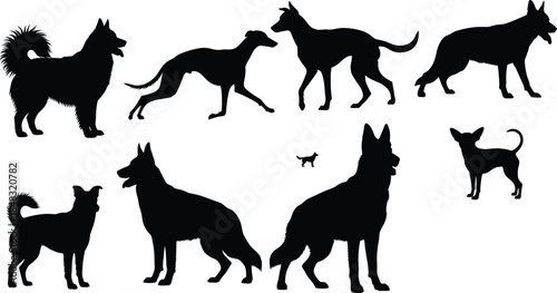 This image appears to be the same as the one you provided in the previous request (image_5aa955.png), just with a slightly different arrangement or cropping 