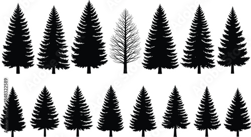 featuring evergreen firs and one bare deciduous tree for winter holiday themes, forest, nature, and Christmas designs
