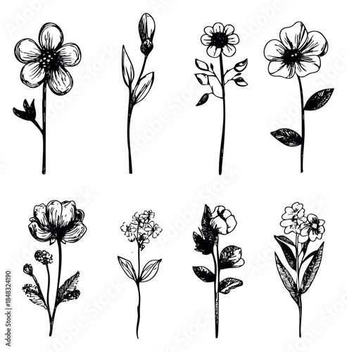 Simple flower icon set with buds and leaves hand drawn outline illustration
