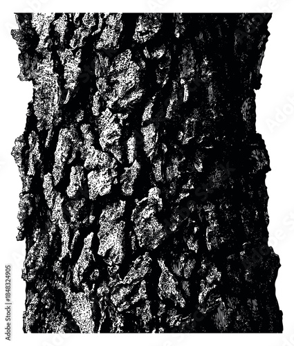 Vintage tree bark texture collection with detailed rough surface hand drawn outline illustration