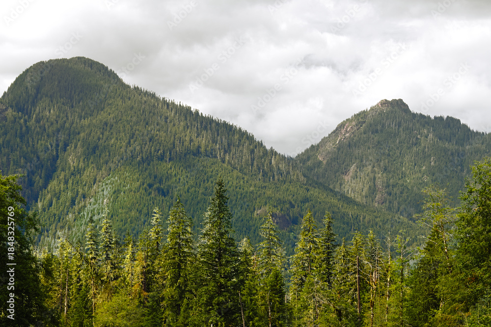 Fototapeta premium Forested mountains near Big Four Ice Caves in Washington, showing dense evergreen trees, green slopes, and cloudy skies in the Cascade Mountains.