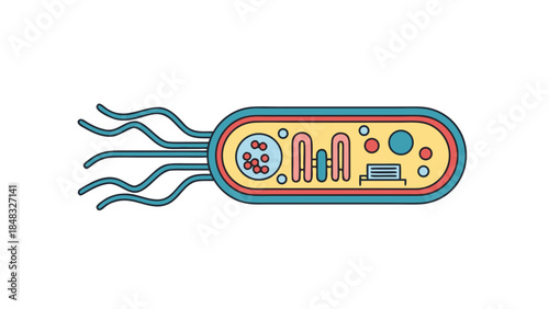 Stylized Illustration of a Bacterium with Flagella