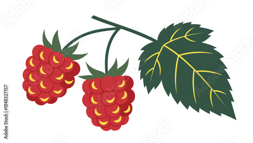Stylized Illustration of Two Red Raspberries on a Stem with Leaf