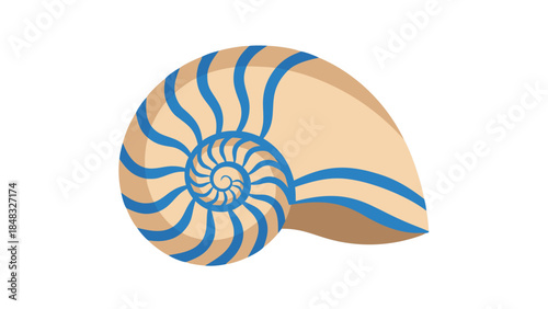 Stylized Nautilus Shell Illustration