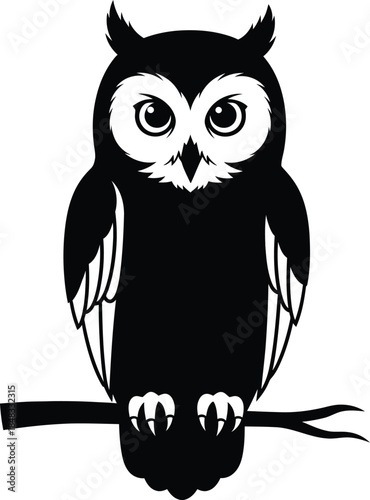 Silhouette of an owl on a branch