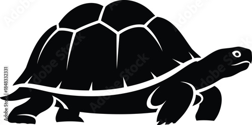 Silhouette of a turtle