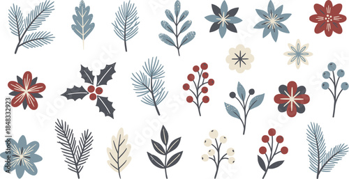 Winter botanical elements collection with leaves, flowers, berries and pine branches, hand drawn flat vector illustration set on white background