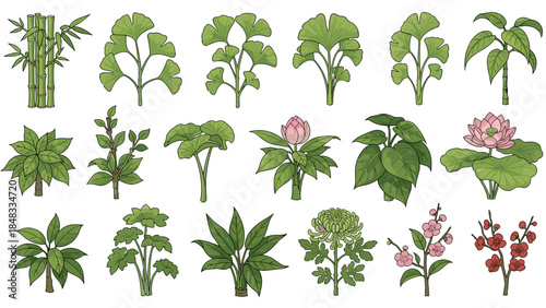 Collection of various green plants and flowers