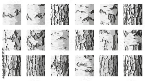 Collection of black and tree trunk sketches