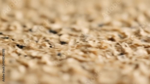 An extreme close-up shot features a textured, light brown surface, possibly resembling dried organic material, rough paper, or a natural fabric. Tiny dark specks are scattered across the uneven terrai