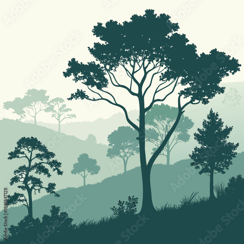 Serene forest landscape