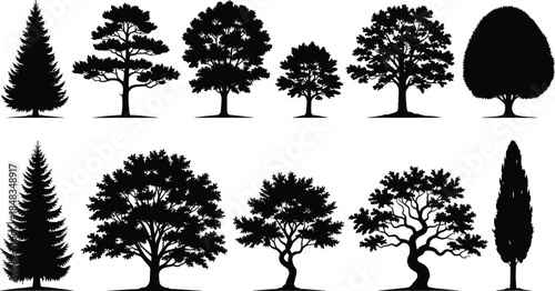 Collection of diverse tree silhouettes including pine, oak, and cypress for landscape design in cad drawing flat vector illustration, set