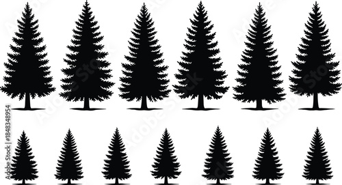 Coniferous tree silhouettes and pine spruce collection for forest landscape design in cad drawing flat vector illustration, set of evergreen