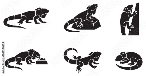 Collection of six black iguana icons in different poses, representing various activities and behaviors of the reptile.