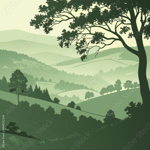 Serene forest landscape