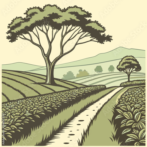 Serene countryside pathway