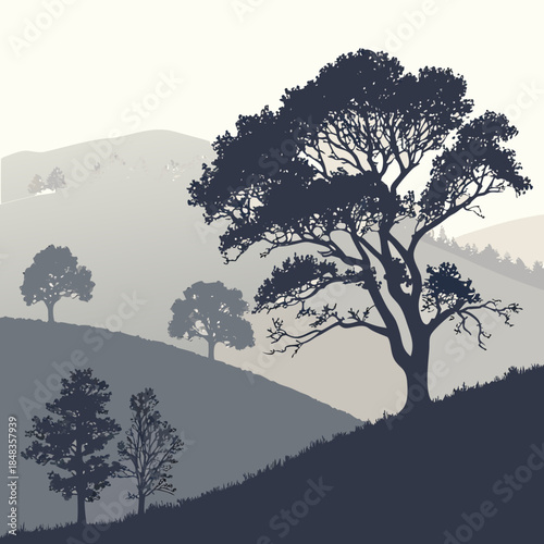 Silhouetted trees on hillside