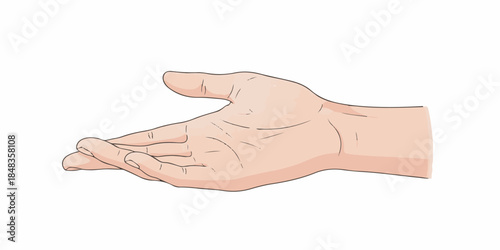 Minimal illustration of a human hand gesture with smooth organic outlines and balanced proportions
