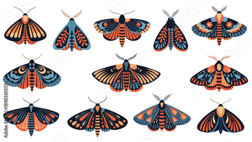 A beautiful collection of twelve stylized moths and butterflies with ornate wing patterns in a warm palette of orange, blue, and black.