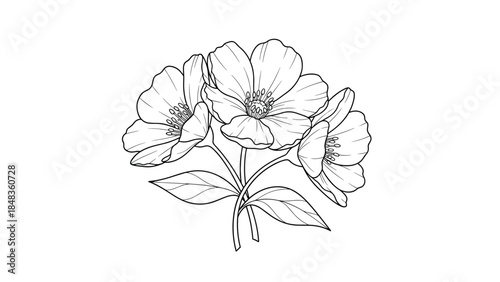 A delicate and pretty cluster of wild rose flowers with leaves, hand-drawn in a detailed black and white line art style.