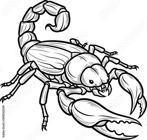 Detailed black and white line art of a scorpion in an aggressive pose with a curved stinger tail and open claws.