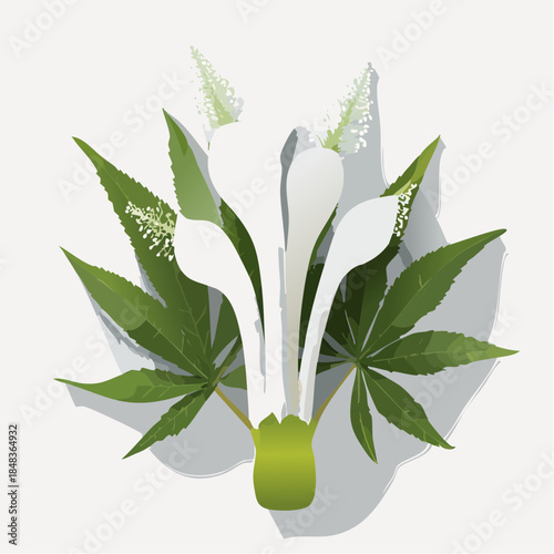 Cannabis leaf with white flower and bud