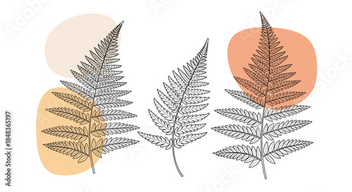 A set of three elegant fern leaf drawings on abstract pastel color shapes, creating a modern botanical wall art design.