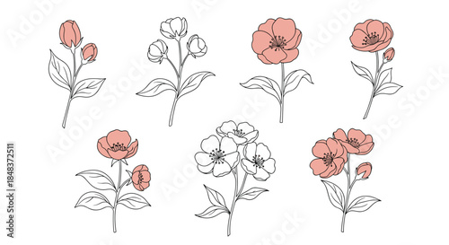 Elegant set of hand-drawn pink flowers in a minimalist line art style, showing delicate blossoms and buds on stems with green leaves.